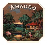 Amadeo Outer Box Art
