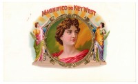 Magnifico de Key West Inner Box Art