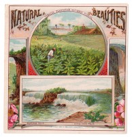 Natural Beauties Outer Box Art
