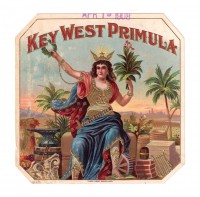 Key West Primula Outer Box Art